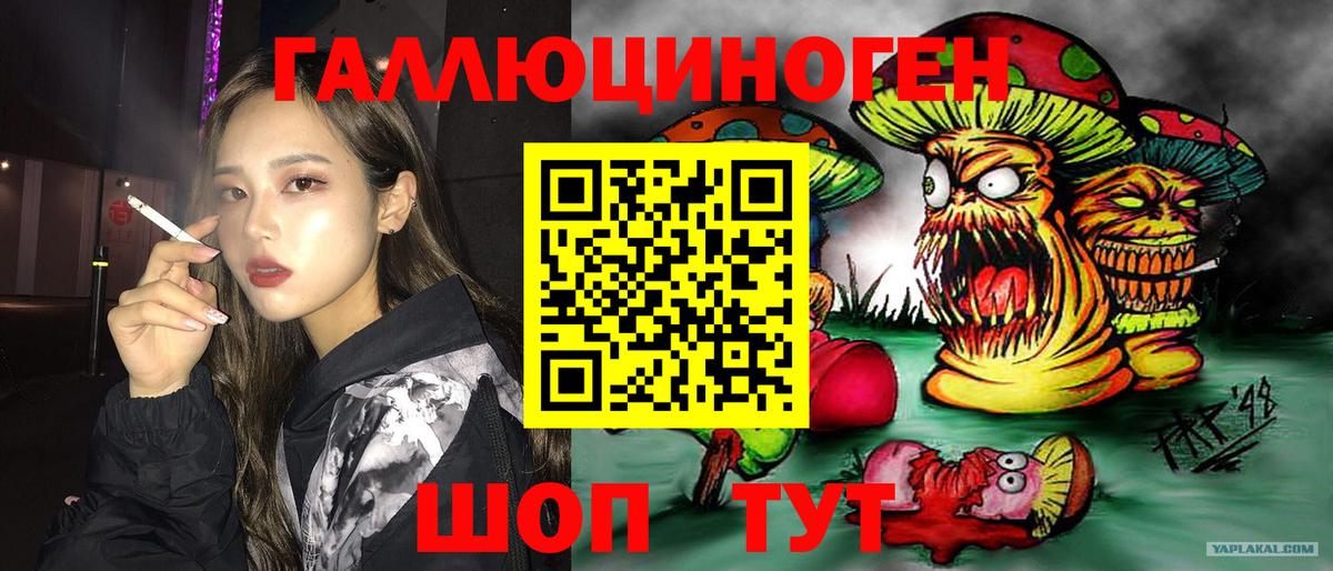 Галлюциногенные грибы мицелий Изобильный
